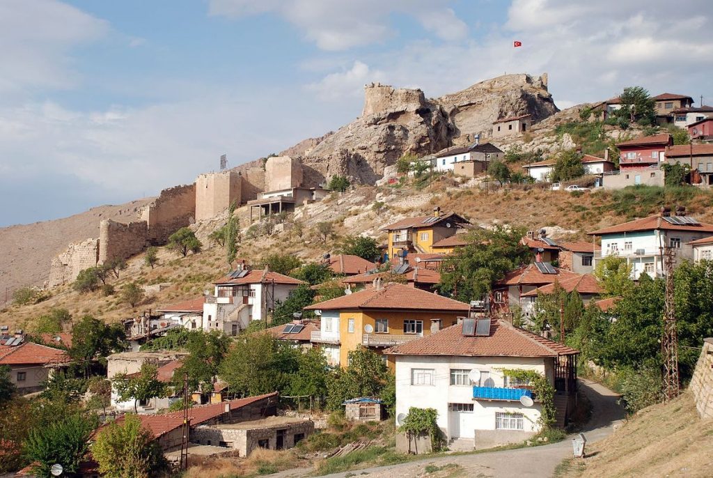 Divriği Marka Tescili