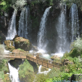 Gemerek Marka Tescili
