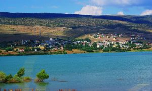 Gülova Marka Tescili