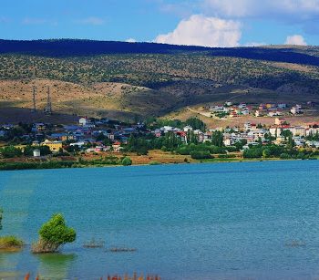 Gülova Marka Tescili