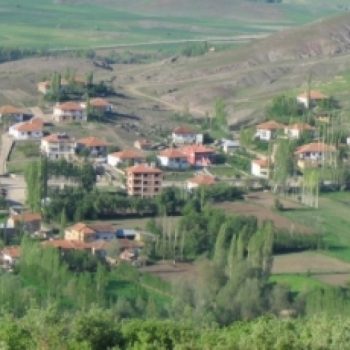 Yıldızeli Marka Tescili